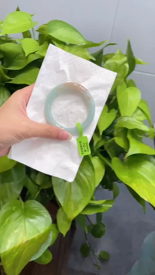 未镶嵌手镯翡翠000057851