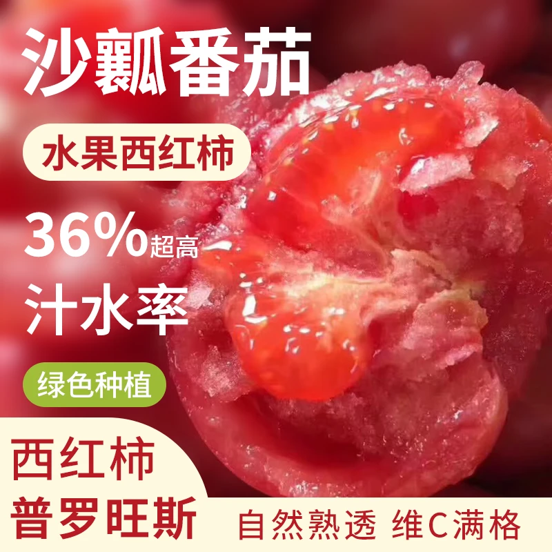 海阳普罗旺斯西红柿4.5斤西红柿新鲜果蔬肉厚番茄饱满生鲜