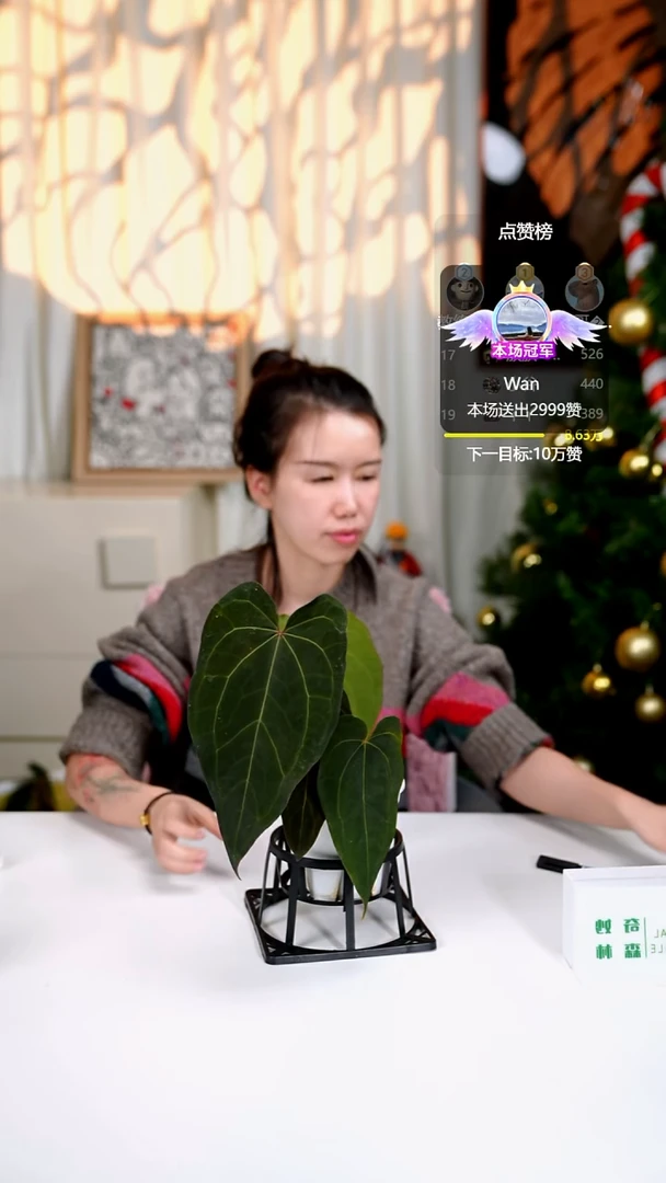 完全开放奇妙森林黑桃x西尼亚