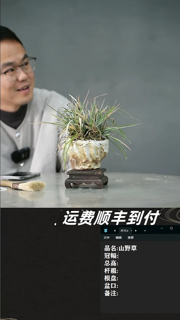 【闪购商品】25 山野草