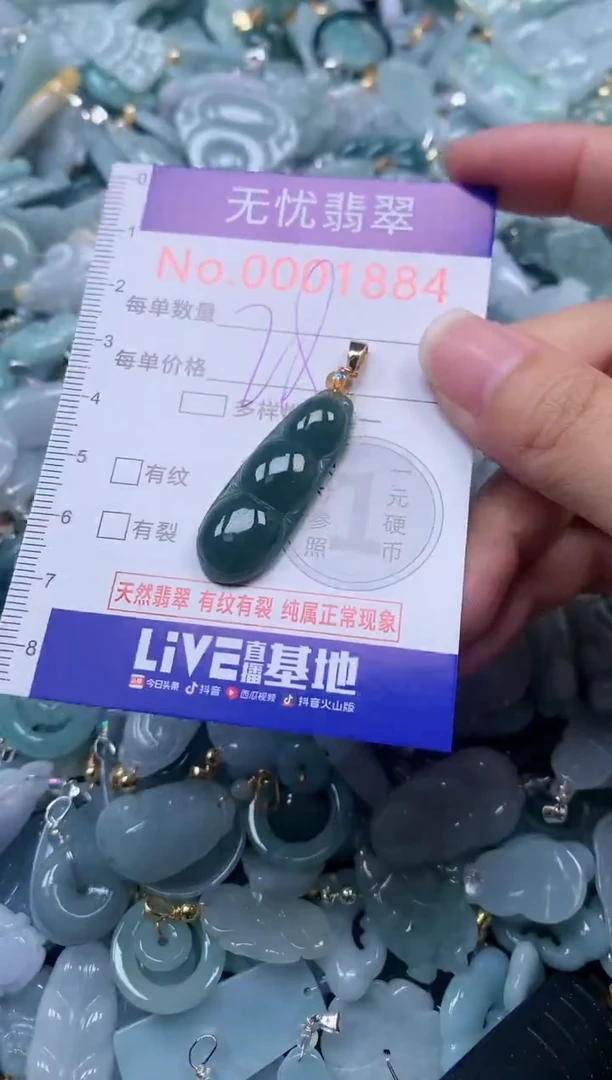 颈饰未镶嵌翡翠1884