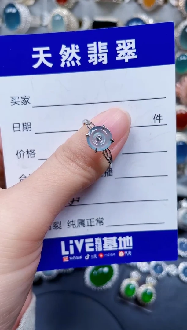 银S925镶嵌翡翠耳饰600