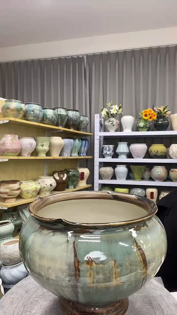 【11.5号】直播链接  高：  ；口：