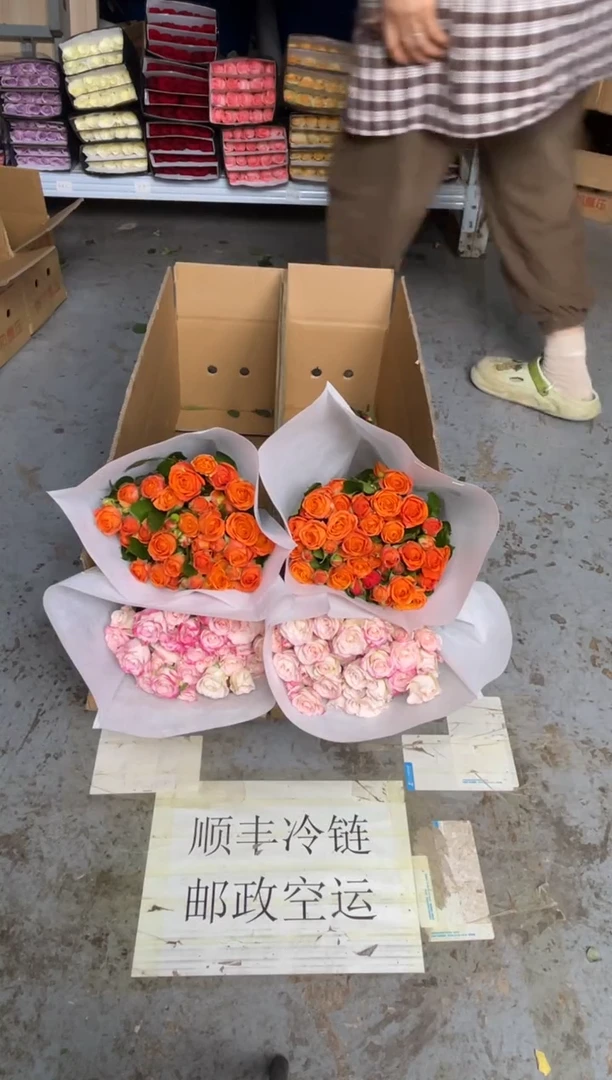 折射10枝+橙色芭比10枝