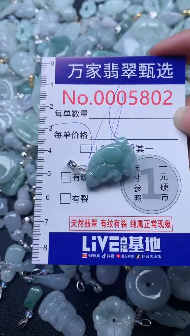 颈饰未镶嵌翡翠5802