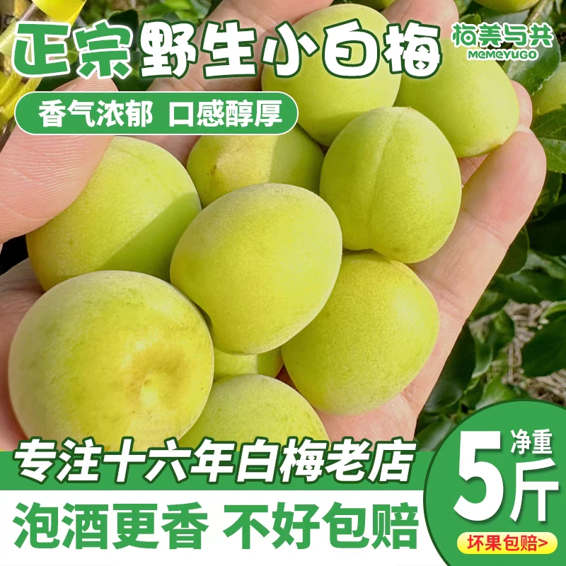 小白梅诏安野生珍珠小白梅泡酒白梅酵素优选青梅果果脯2斤