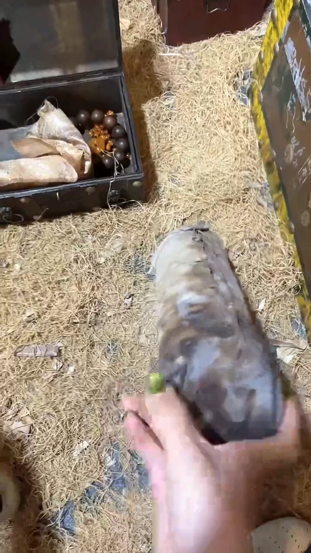 木 闪购链接木(佳佳甄选)