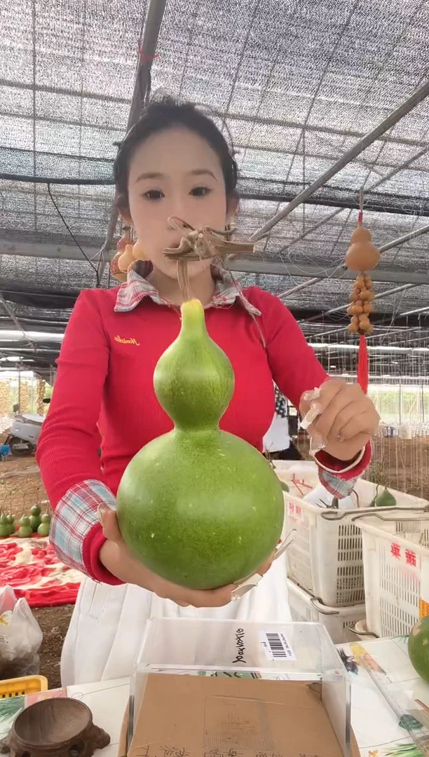 024天然葫芦摆件 一物一拍龙头不保售后