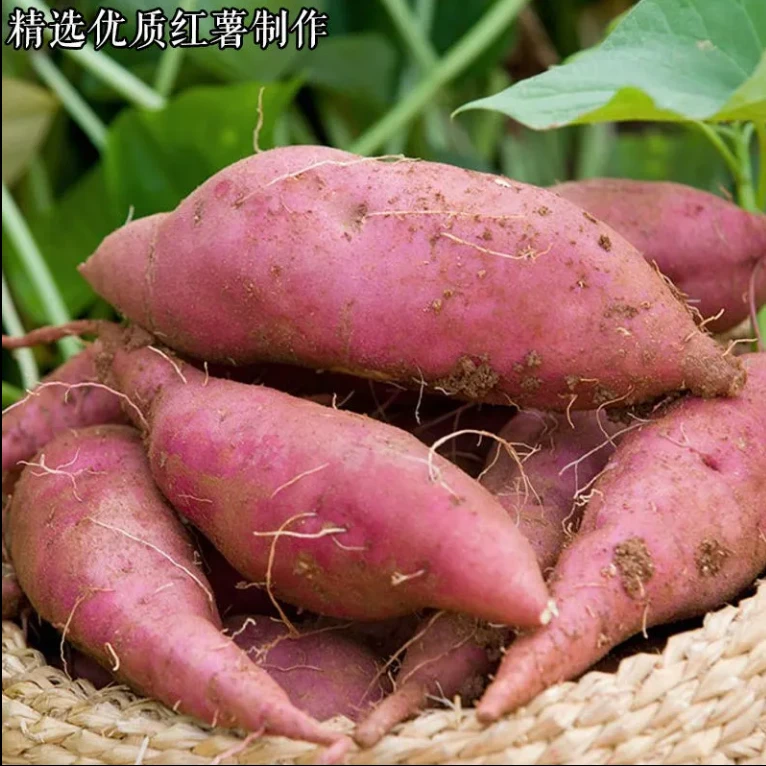 河南农家手工纯红薯淀粉细分勾芡炸物粉炸酥肉粉苕粉地瓜粉