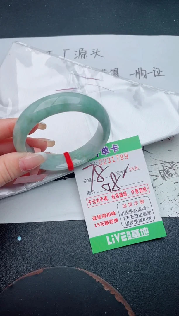 未镶嵌手镯翡翠89