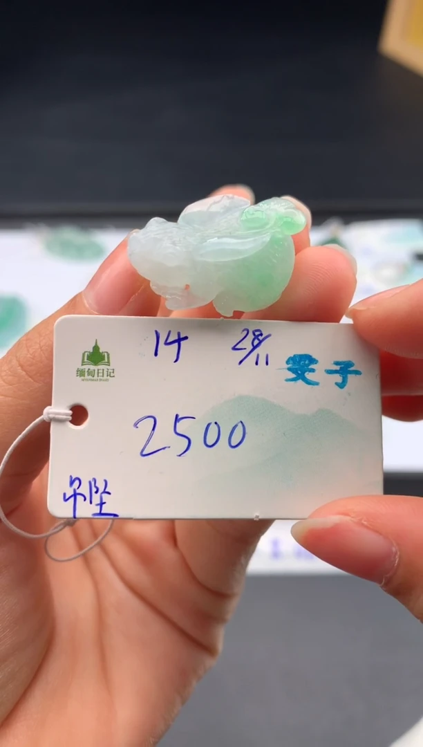 颈饰未镶嵌翡翠翡翠自带#送人#，假一赔三
