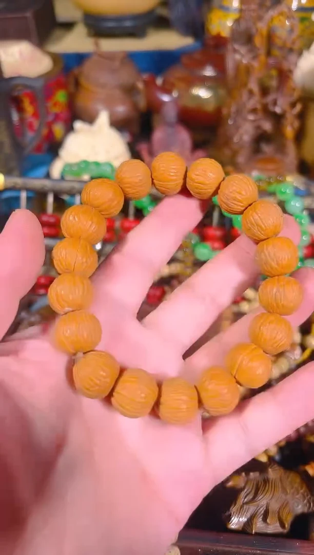 黄杨木11111111111111111111