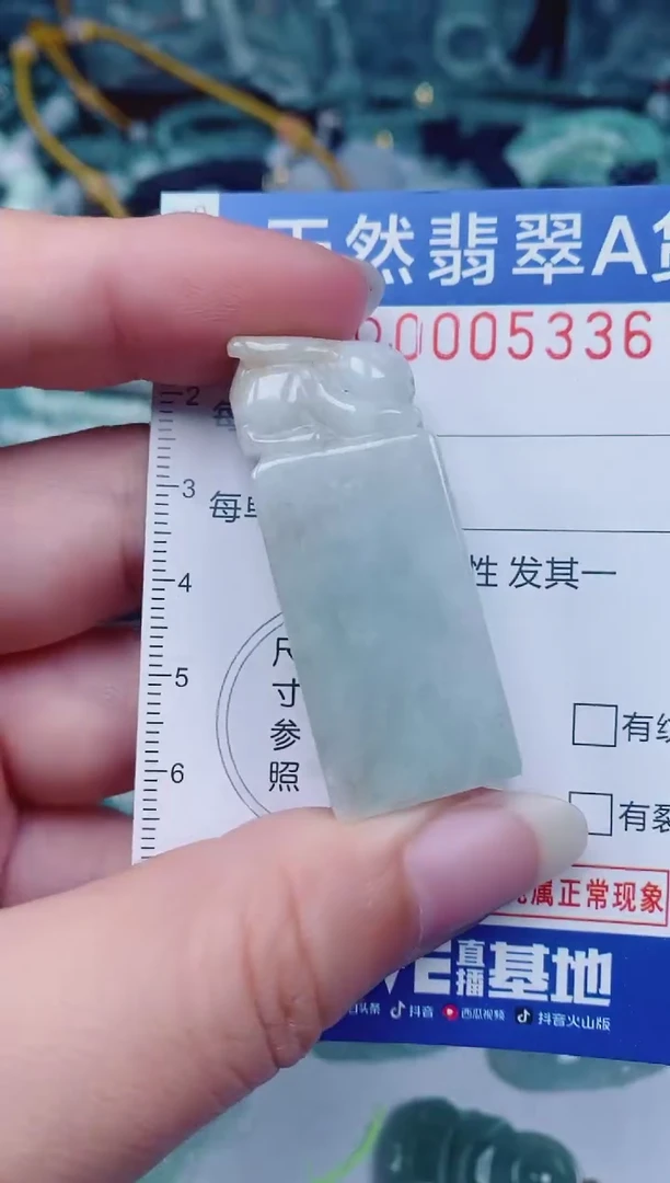 颈饰未镶嵌翡翠00005336