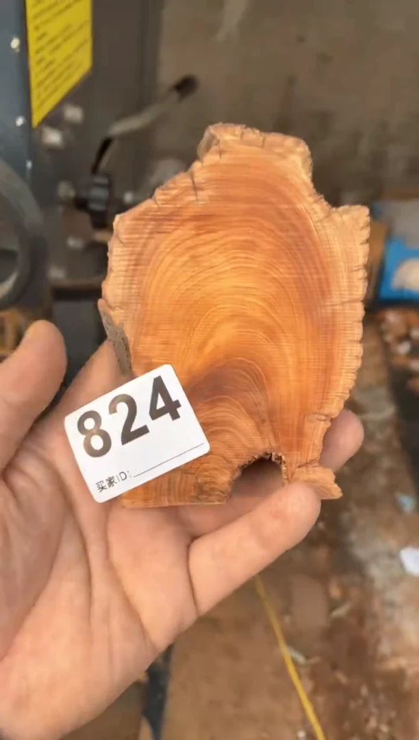 【闪购商品】柏木太行陈化崖柏切片