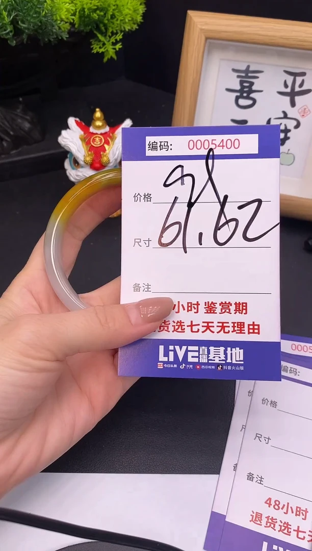 未镶嵌手镯翡翠0005400