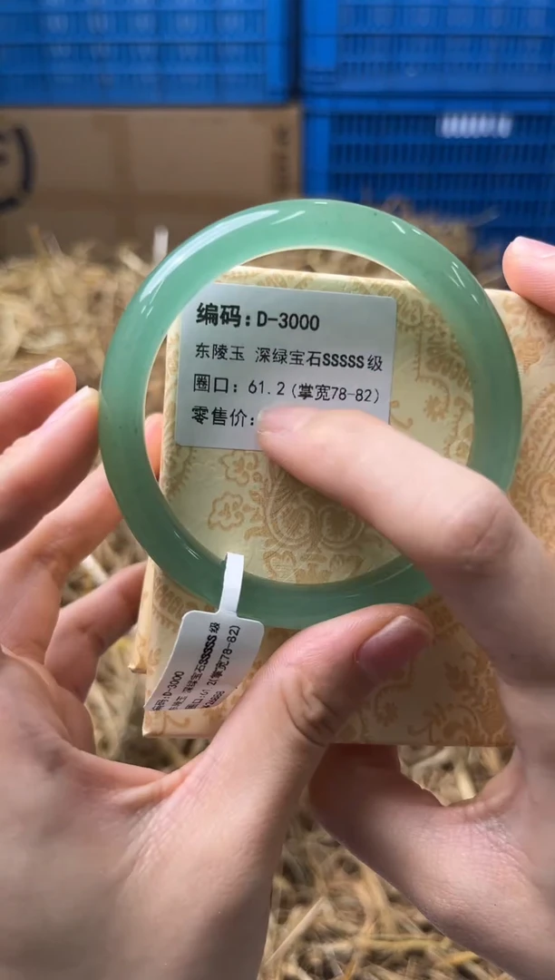 未镶嵌手镯石英质玉D-3000