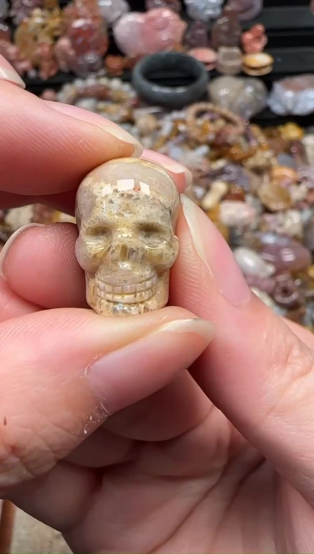 颈饰未镶嵌硅化珊瑚（珊瑚玉）546