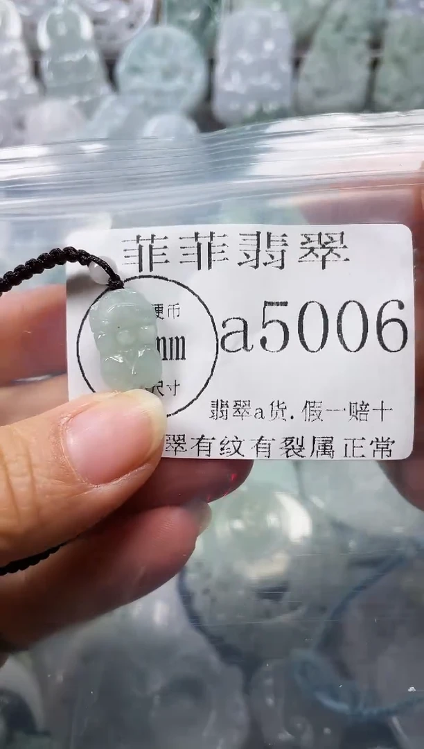 【闪购商品】翡翠颈饰未镶嵌闪购5006