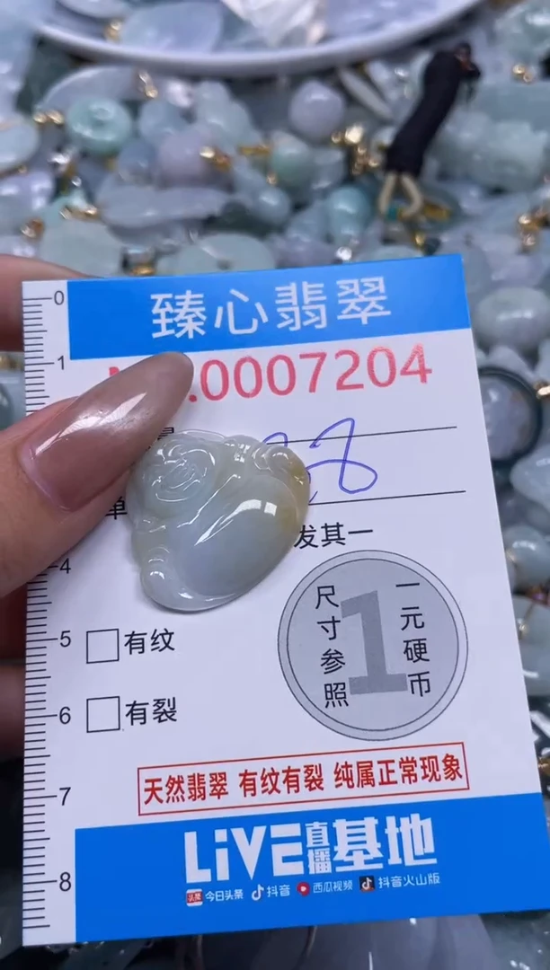 颈饰未镶嵌翡翠7204