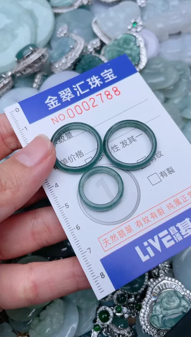 翡翠未镶嵌颈饰2788....