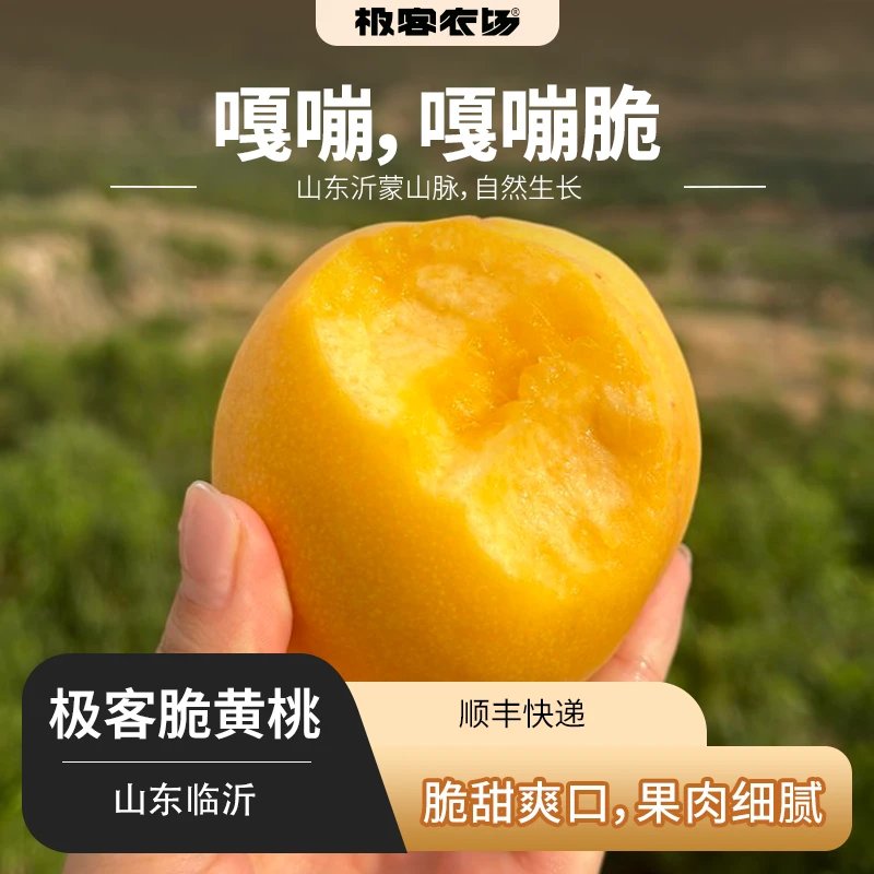 极客脆黄桃 | 树熟采摘桃味浓郁脆甜爽口肉细腻香甜无渣4.5斤顺丰