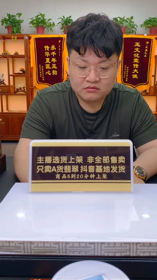翡翠未镶嵌颈饰闪购翡翠链接WL0