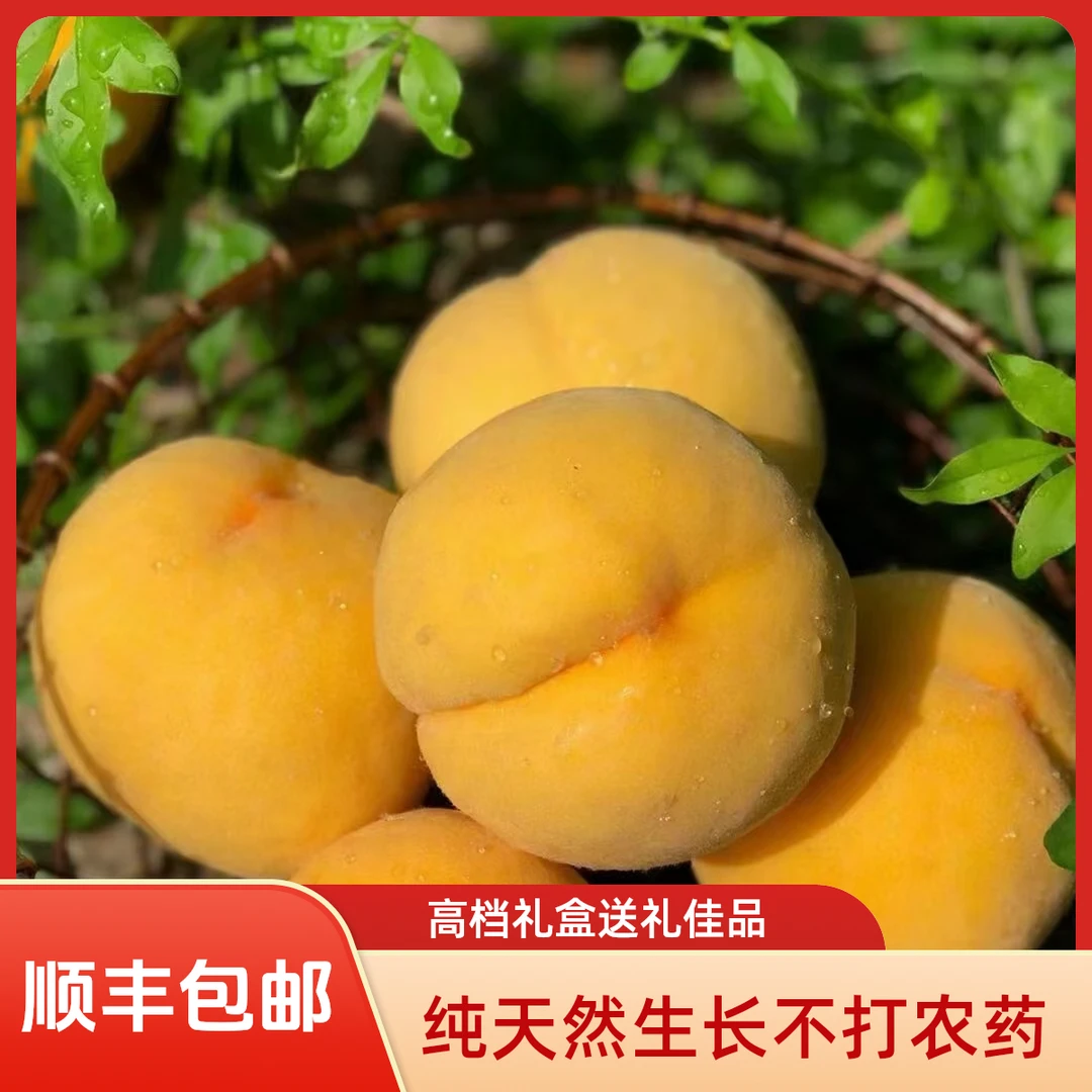 高档礼盒装纯天然不打药芷江高山黄桃送人礼品高级礼物