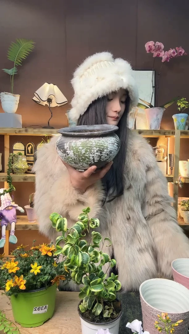 以实际为准渴*鬼针草加盆一套412