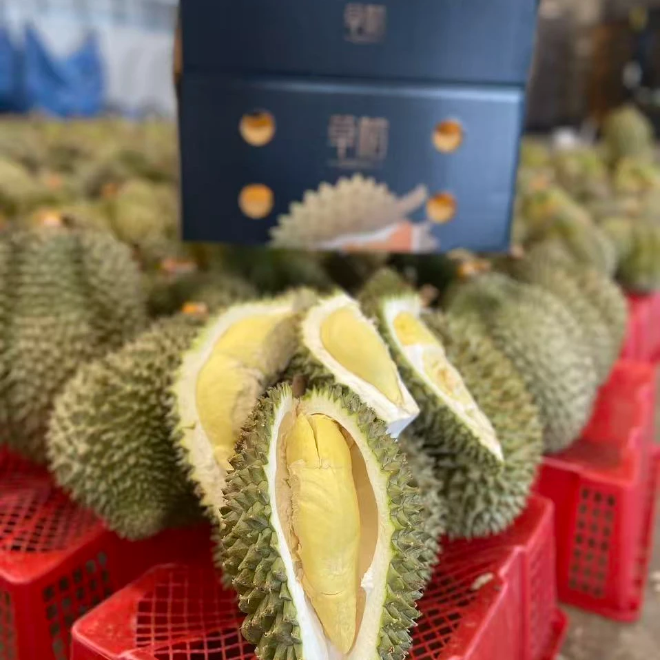 【草帽】A果 泰国树熟金枕榴莲 保4房