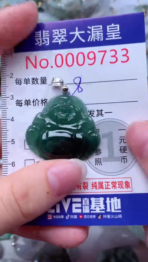 吊坠(不含链)未镶嵌翡翠9733