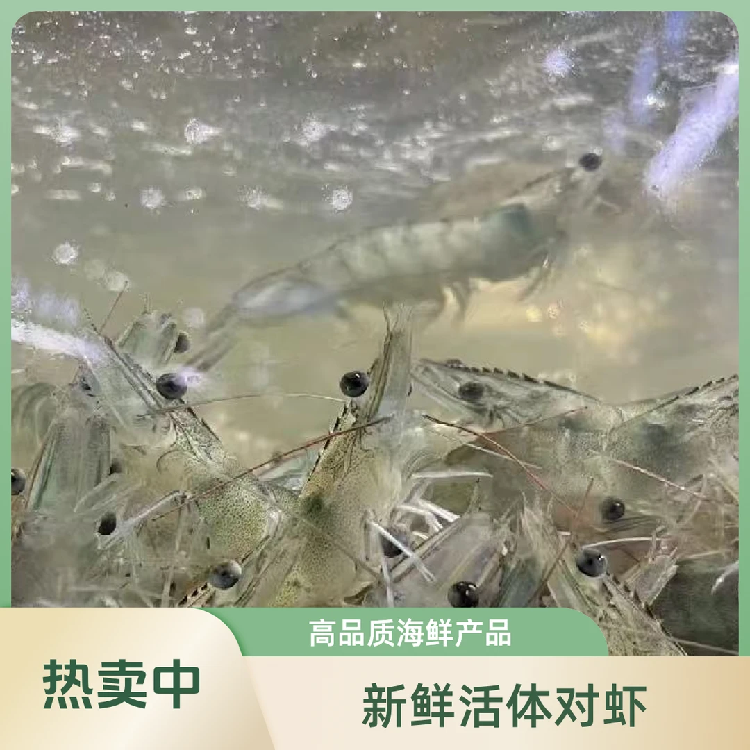 鲜活基围虾3斤装（保鲜不保活）
