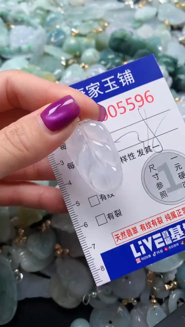 颈饰未镶嵌翡翠5596