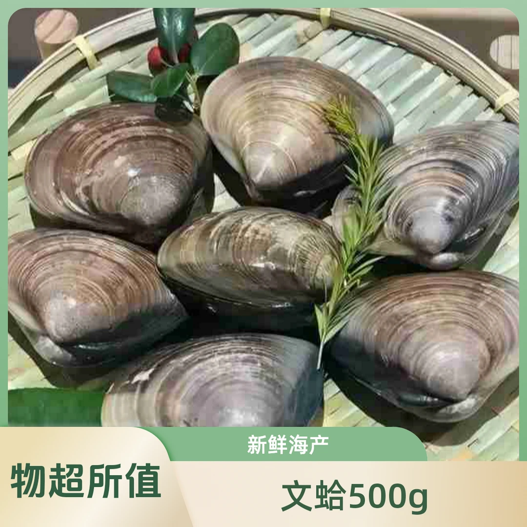 文蛤 500g