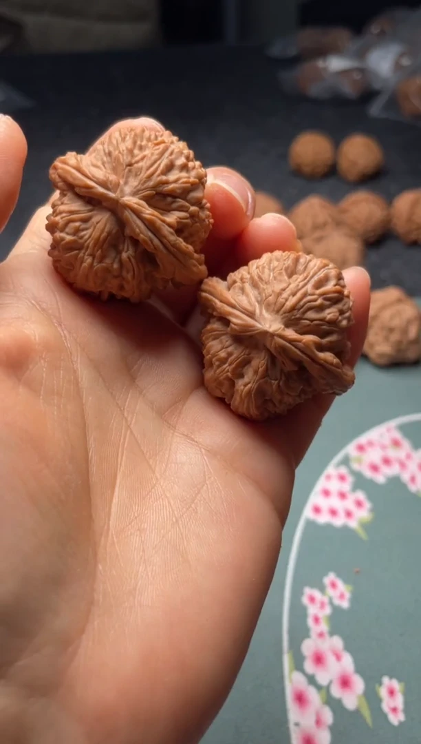 把件文玩核桃w285  白狮子 38尺