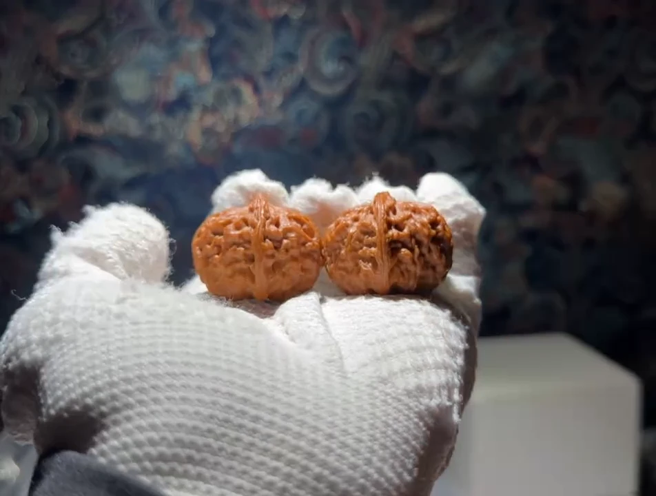 吊坠文玩核桃秦皇岛元宝37