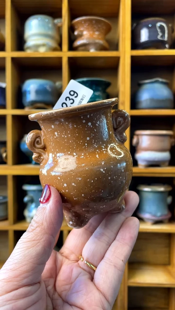 【闪购商品】陶239 内口4