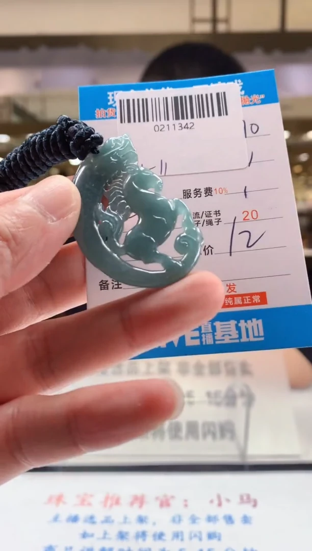 颈饰未镶嵌翡翠天然翡翠A货拍一发一