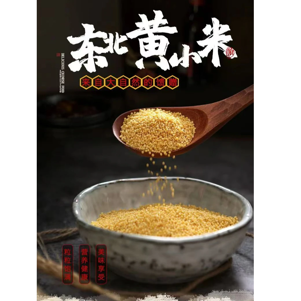 东北优质油膜黄小米新小米适合熬粥二米饭