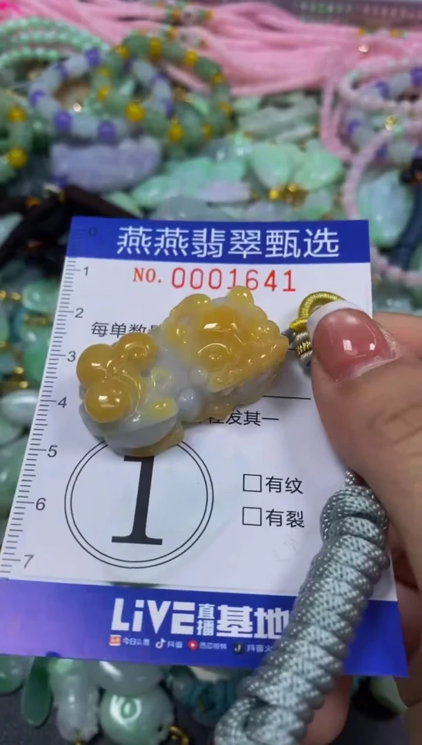 翡翠未镶嵌颈饰闪购0001641
