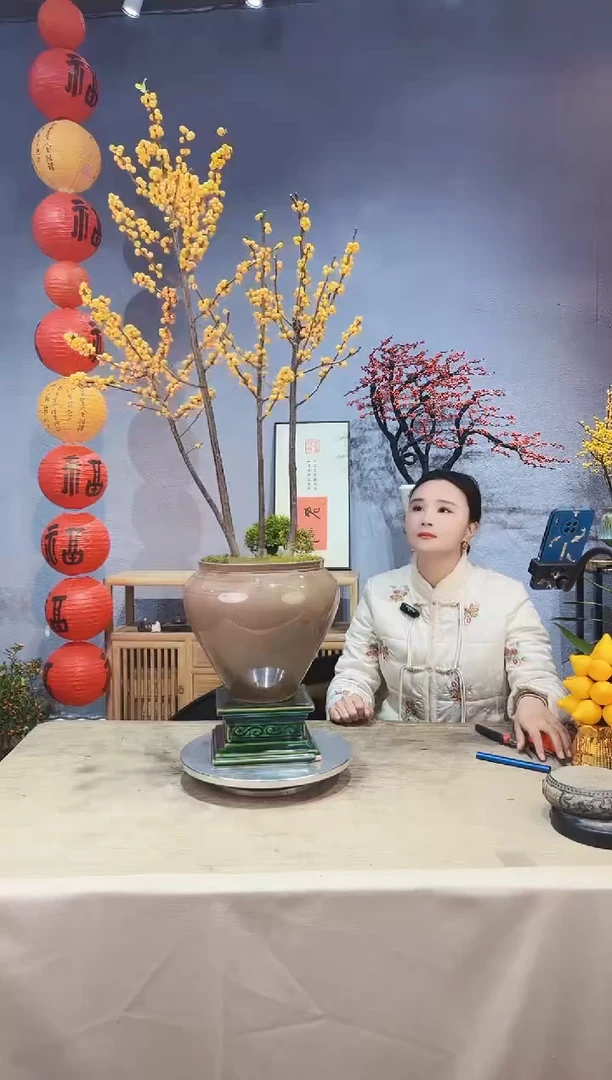 【闪购商品】盆景北美冬青 冬黄