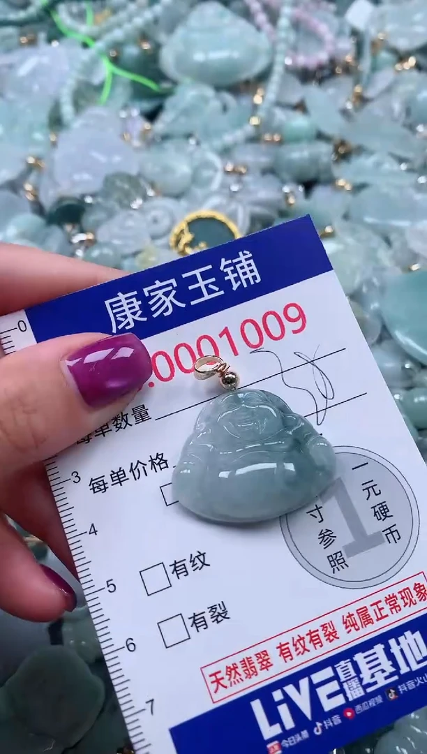 颈饰未镶嵌翡翠1009