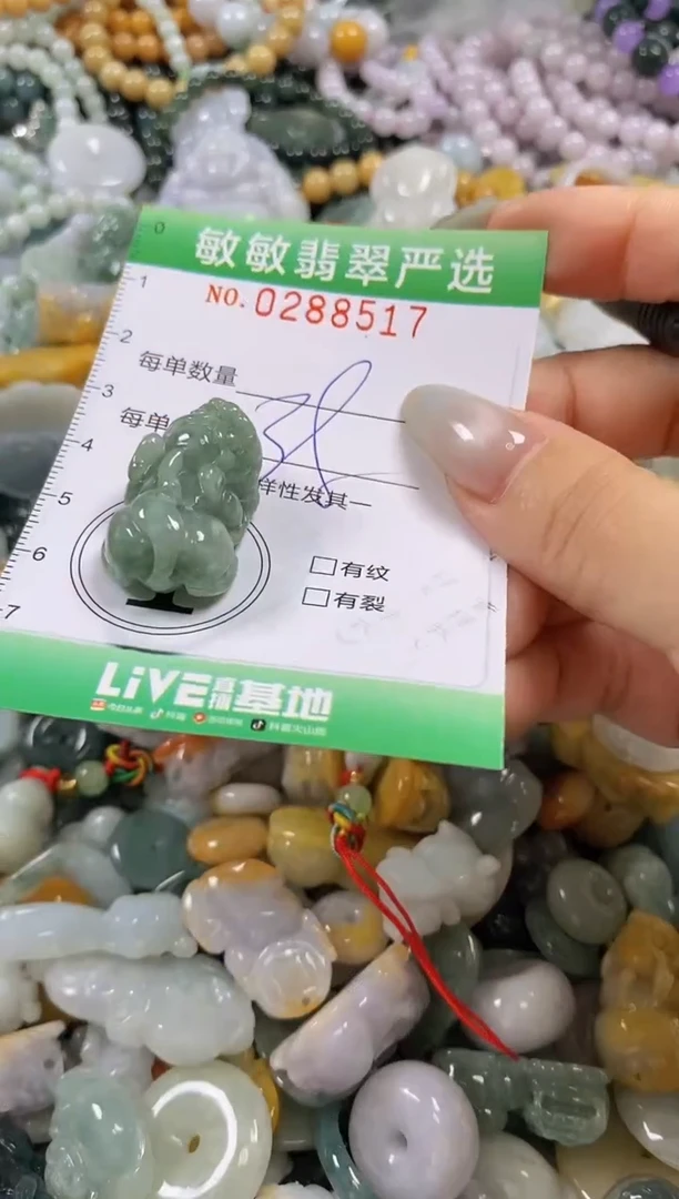 翡翠未镶嵌颈饰闪购0288517