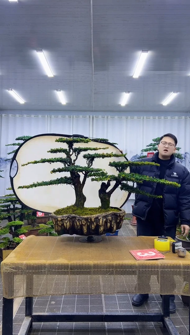 无花朵鼎****部0000000000000000