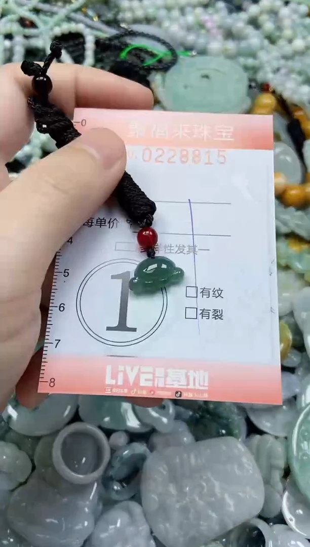 颈饰未镶嵌翡翠闪购0228815