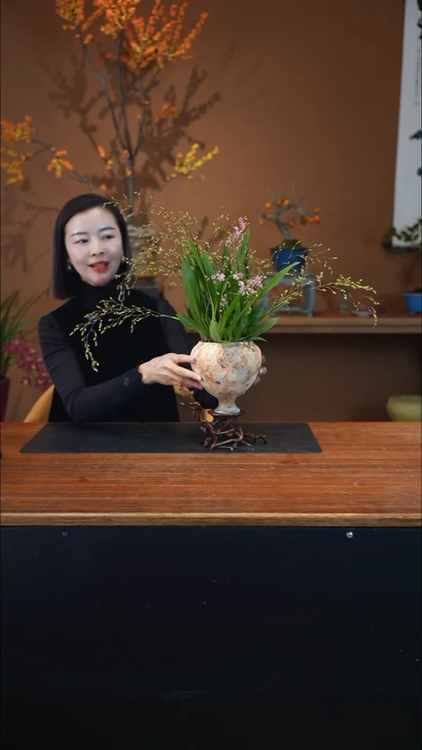 全部花朵粉红梦香盆景盆景盆景