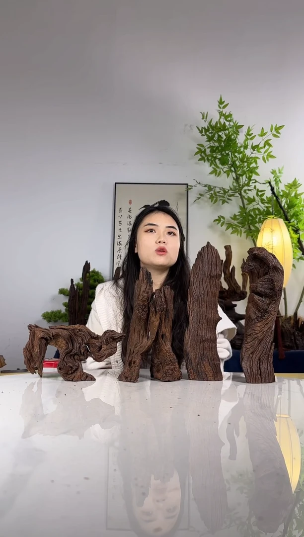 天***！拍这个定向编号55-4