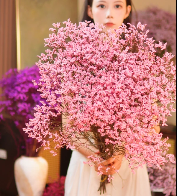 【买一扎送一扎】粉色永生水晶花长花期氛围鲜切花好养护干花满天星