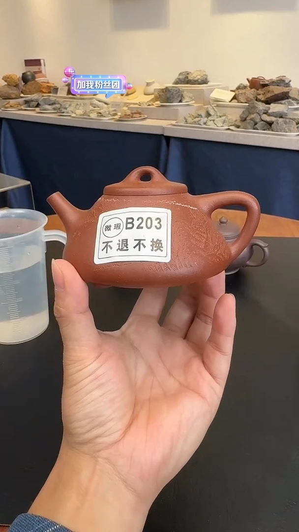茶壶紫砂大**y微瑕B203红降坡刻绘子冶66