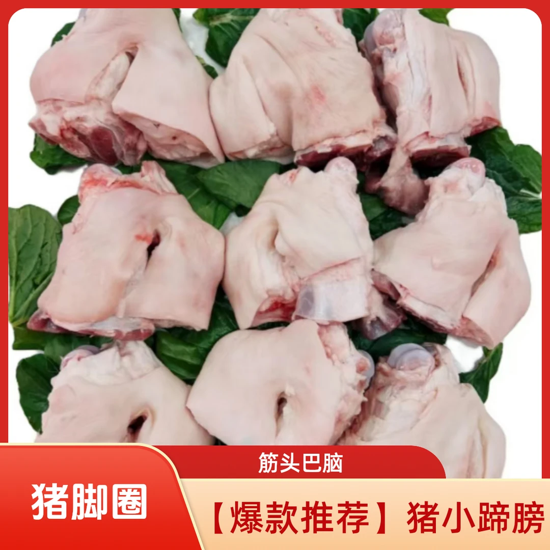 【爆款推荐】猪小蹄膀 猪脚圈 筋头巴脑 猪二肘 猪蹄 猪拐骨 小蹄膀