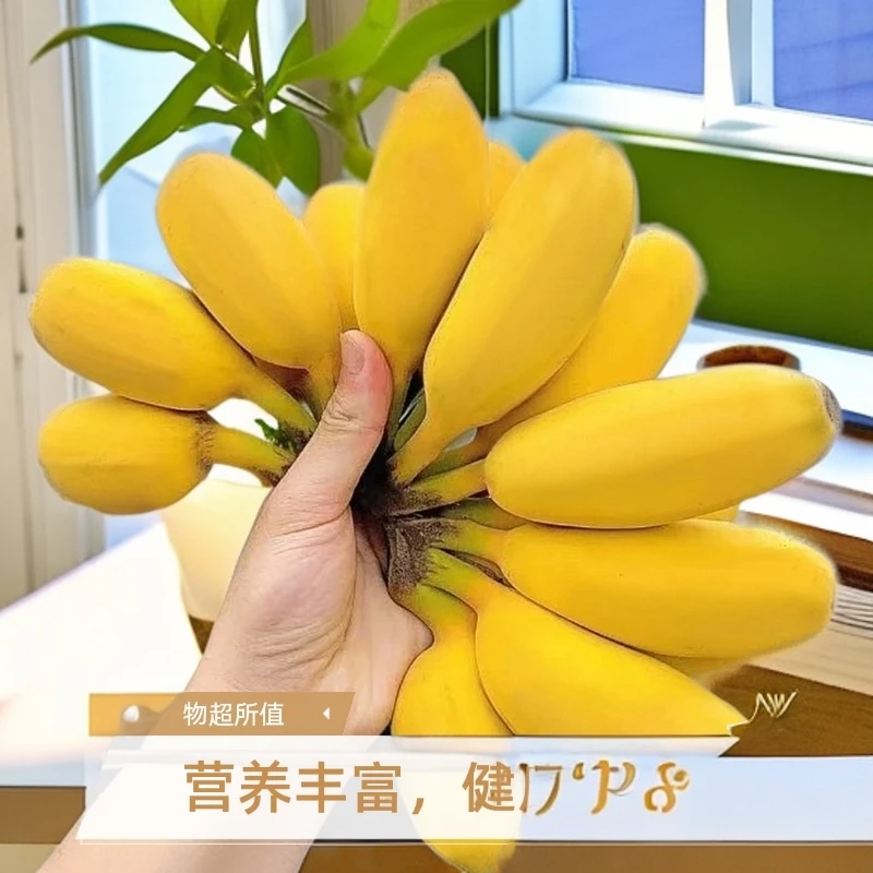 【现摘青果】广东正宗苹果蕉当季糯香甜薄皮新鲜香甜青皮香蕉整箱装